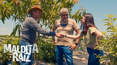 miniatura-video-T1 E1: El secreto miniatura-video